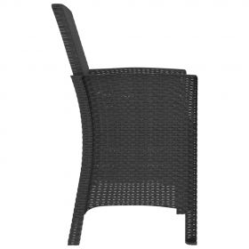 Scaun de gradina cu perna