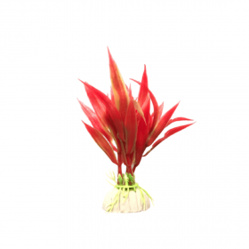 Decor pentru acvariu Planta Alternanthera Reineckii Mini 10cm