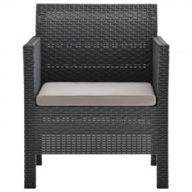 Set mobilier de gradina cu perne