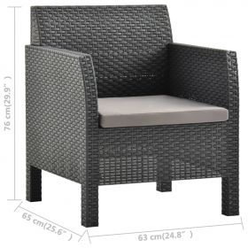 Set mobilier de gradina cu perne