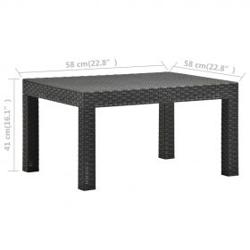 Set mobilier de gradina cu perne