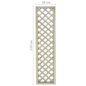 Spalier de gradina, 40 x 170 cm, lemn de pin tratat