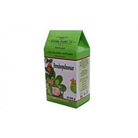 Ceai bronhopulmonar 100g - Natura Plant Poieni
