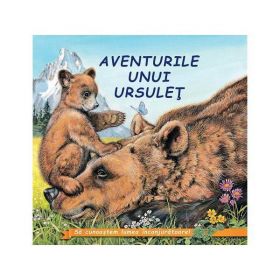 Aventurile unui ursulet - Sa cunoastem lumea inconjuratoare!, editura Biblion