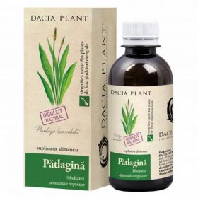 Sirop Patlagina Dacia Plant, 200ml