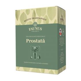Ceai &quot;Retete Traditionale&quot; Prostata Faunus Plant, 180 g