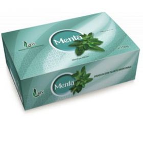 Ceai Menta Larix, 100 doze x 1,5g