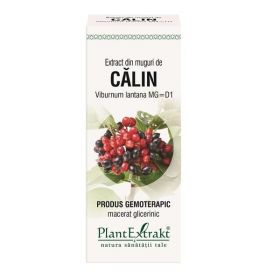 Extract Muguri de Calin Plantextrakt, 50 ml