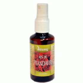 Apa De Trandafiri 50ml ADAMS VISION