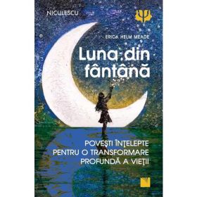 Luna din fantana - Erica Helm Meade, editura Niculescu