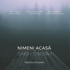 Album missing home nimeni acasa - Mircea Struteanu