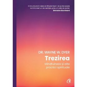 Trezirea. Mindfulness si alte practici spirituale - Wayne W. Dyer, editura Curtea Veche