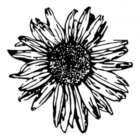 Decoratiune de perete, Daisy 2, Tanelorn, 70x70 cm, metal