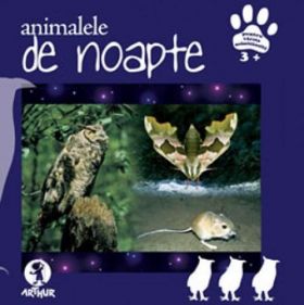 Animalele de noapte | 