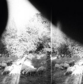 Asunder, Sweet And Other Distress - Vinyl | Godspeed You! Black Emperor