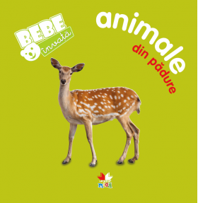 Bebe invata: Animale din padure | 