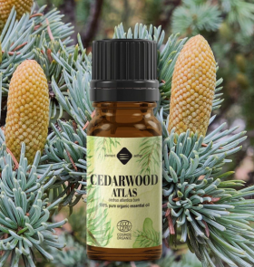 Ulei esential de Cedru Atlas, eco-bio, 10ml - Mayam