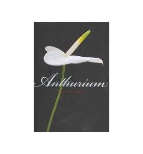 Anthurium | Pim Van Den Akker