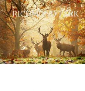 Richmond Park | John Karter, Alex Saberi