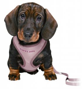 Ham + Lesa Junior Puppy Soft, 26-34 cm/10 mm, lila, 15564