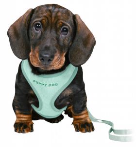 Ham + lesa Junior Puppy soft, 26-34 cm/10 mm, verde, 15565