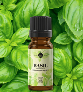 Ulei esential de Busuioc tropical, eco-bio, 10ml - Mayam