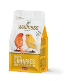 Hrana pentru canari Wellness 1kg