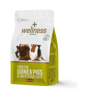 Hrana pentru porcusori de Guineea Wellness G-Pig 1 kg