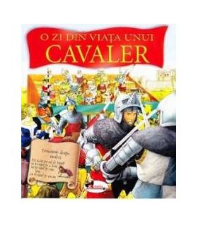 O zi din viata unui cavaler - Andrea Hopkins