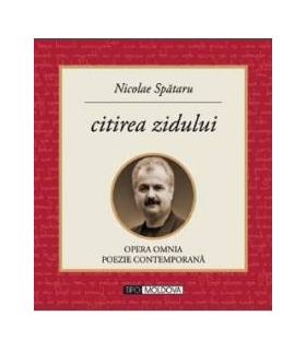 Citirea zidului - Nicolae Spataru