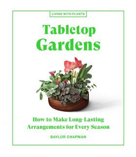 Tabletop Gardens | Baylor Chapman