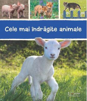 Cele mai indragite animale | 