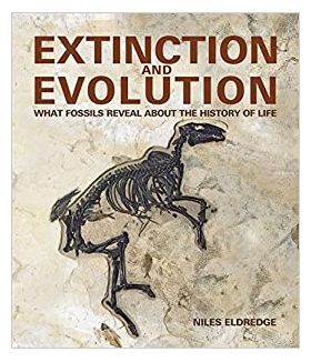 Extinction and Evolution | Niles Eldredge