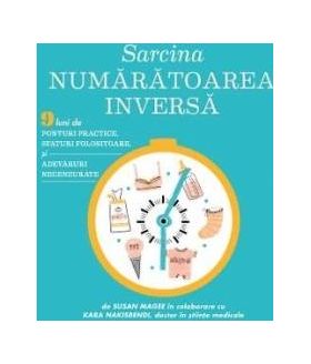 Sarcina numaratoarea inversa - Susan Magee Kara Nakisbendi