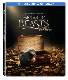 Animale Fantastice si unde le poti gasi 3D (Blu Ray Disc) Steelbook / Fantastic Beast and Where to Find Them | David Yates