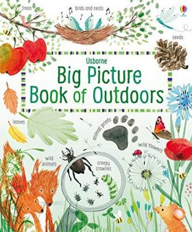 Big Picture Book of Outdoors | Minna Lacey