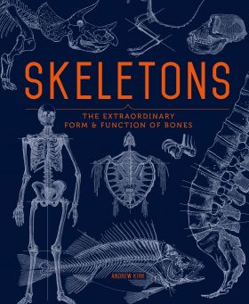 Skeletons - The Extraordinary Form and Function of Bones | Andrew Kirk