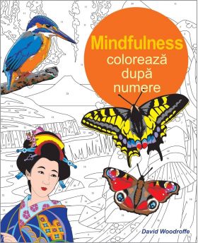 Coloreaza dupa numere - Mindfulness - David Woodroffe - carte - DPH