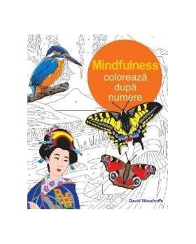 Mindfulness Coloreaza dupa numere