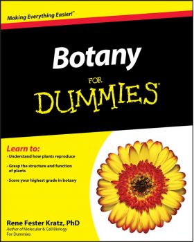 Botany For Dummies | Rene Fester Kratz