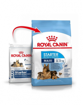 Royal Canin Maxi Starter Mother &amp; Babydog gestatie/ lactatie pui hrana uscata caine 15 kg