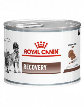 ROYAL CANIN Vet Dog/Cat Recovery 195 g hrana umeda dietetica pentru caini/pisici dupa interventii chirurgicale, in perioada de convalescenta