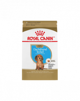 Royal Canin Dachshund Puppy hrana uscata caine junior Teckel, 1.5 kg