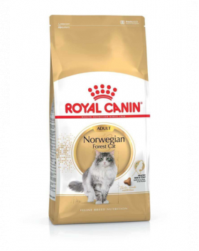 ROYAL CANIN Norvegian 2 kg