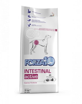 FORZA 10 Intestinal Active Dietă nutraceutică pentru probleme digestive 10 kg