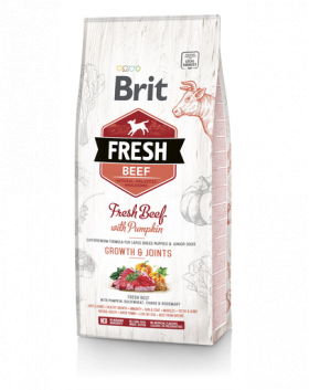 BRIT Fresh Puppy Large Hrana uscata catei talie mare cu vita si dovleac 2,5 kg