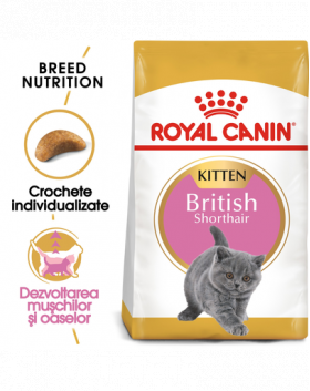 Royal Canin British Shorthair Kitten hrana uscata pisica junior, 400 g