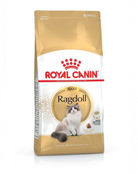 ROYAL CANIN Ragdoll Adult 20 kg (2 x 10 kg) hrană uscată pentru pisici Ragdoll adulte