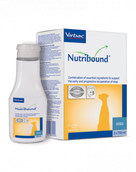 VIRBAC Nutribound Supliment alimentar pentru caini in timpul convalescentei 3 x 150 ml