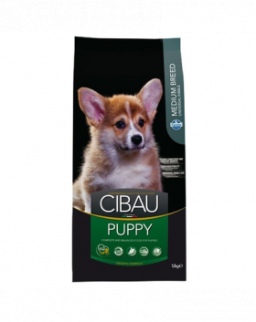 CIBAU Medium Puppy 12+2 kg GRATIS hrana catei si femele gestante rasa medie